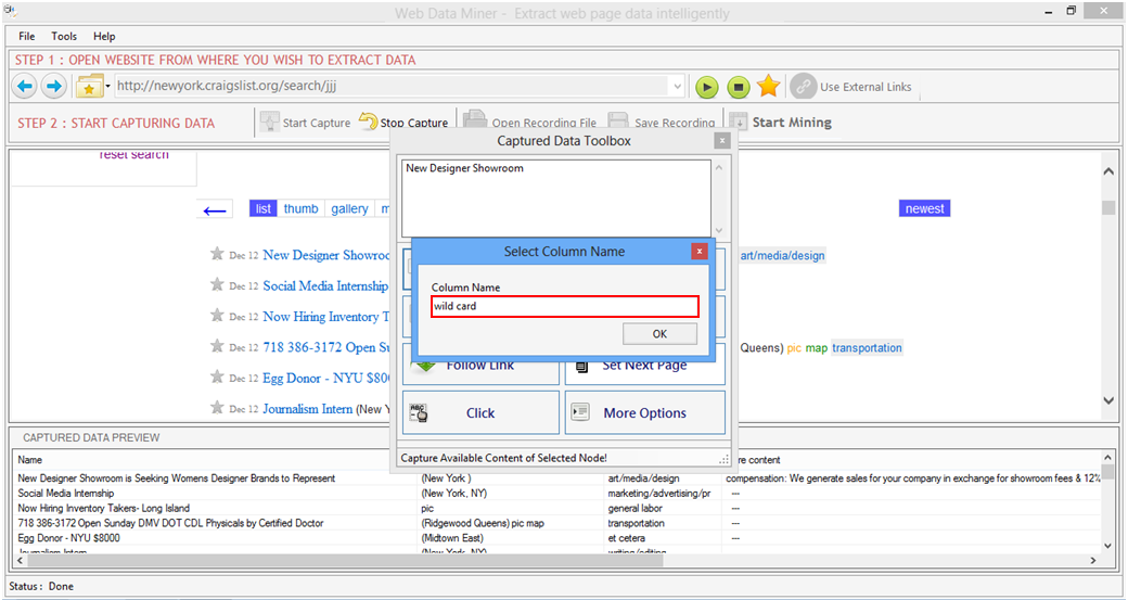 Web Data Miner